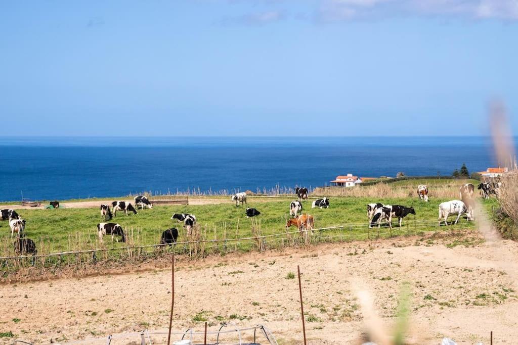 Country House In Azores - S. Miguel Рибейра-Гранди Экстерьер фото
